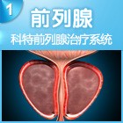 前列腺疾病