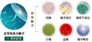 弱精症对男性有哪些危害