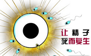 引起死精症的原因表现