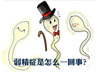男性得了弱精症有什么危害