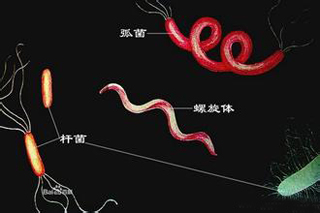 梅毒在什么情况下容易感染